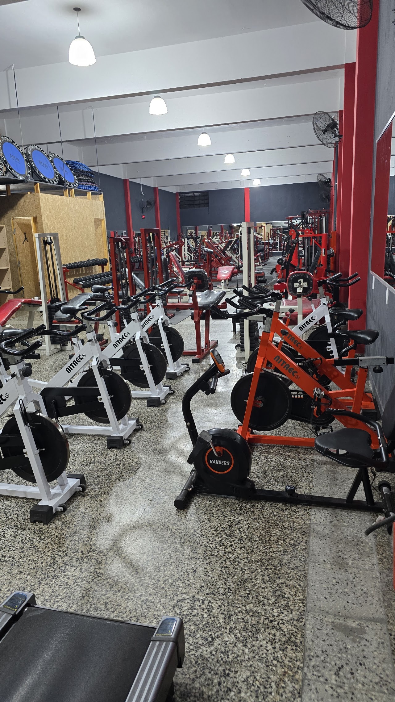 Interior amplio de la sala de musculación con piso técnico negro, racks de sentadillas, mancuernas y luces lineales rojas